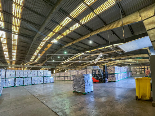 Bodega En Arriendo En Lampa