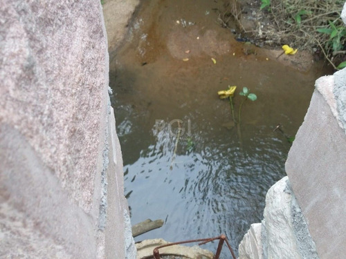 Terreno Em Vila Nova - Li50879502