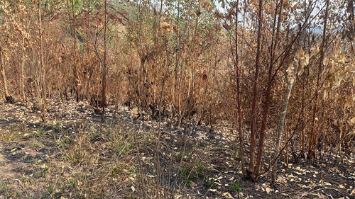 Imagem 5 de 14 de 34ei Terreno Igaratá Com Entrada Apenas De $ 5 Mil