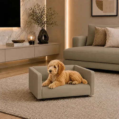Sofá Pet Kiara Premium Pequena Cappuccino Em Veludo Cama Caminha ...
