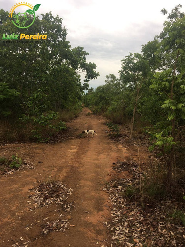 Imagem 3 de 15 de Fazenda À Venda No Monte Do Carmo - To - De 85 Alqueirões (dupla Aptidão) - 1734