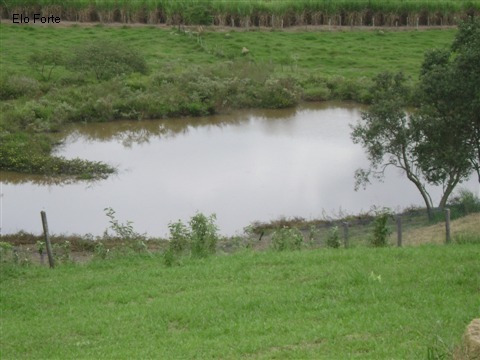 Imagem 6 de 18 de Sitio A Venda, Sitio São Luiz, Elias Fausto - St00044 - 1818833