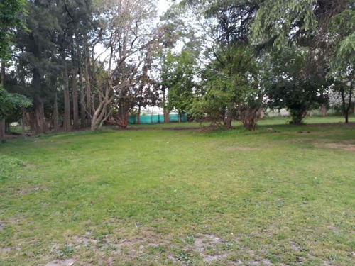 Imagen 2 de 2 de Quinta En Venta En Pilar