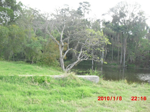 Imagem 5 de 9 de 6 Alqueires No Cupim