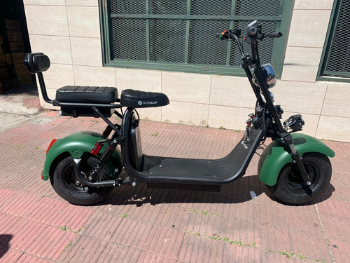 Moto Scooter Eléctrica Ripcolor 1500watts 180kg 0km