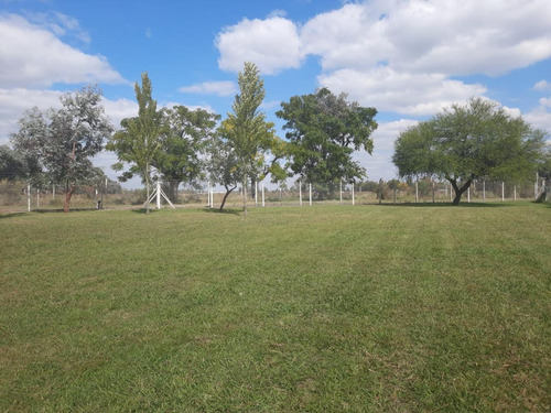 Imagen 7 de 8 de Lote En Venta, San Alfonso, Pilar