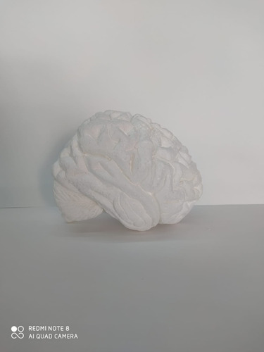 Unicel Masa Encefalica Cerebro, 1 Pz, Incluye Envio
