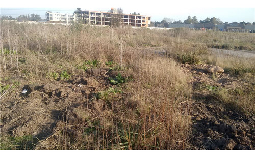 Venta 1 Ha. En Panamericana Pilar. Acepta Permuta