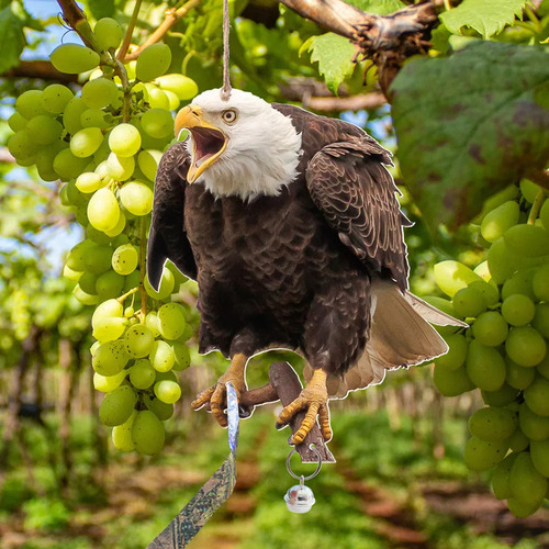 Espantapájaros Para Pájaros Que Repelen Pájaros En Un Huerto