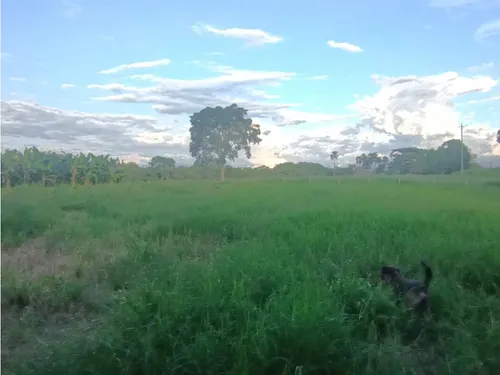 Se Venden Lotes Montenegro Quindío
