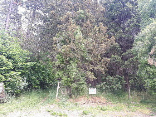 Imagen 4 de 18 de Terreno - Cerro Runge