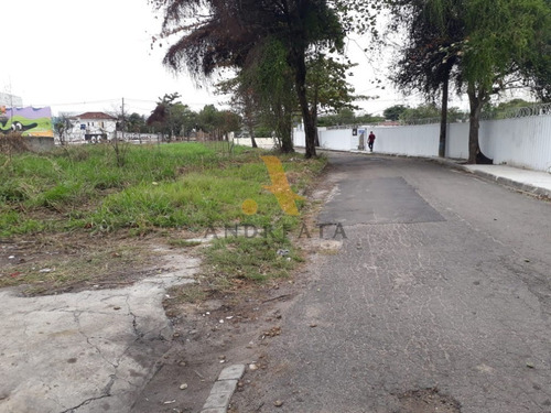 Imagem 10 de 12 de Recreio Dos Bandeirantes - Av Das Amercas - Vendo / Alugo Terreno Com 1.290 M² Valor R$3.500.000 E Aluguel R$18mil. - Mix0001l - 31975593