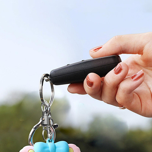 Llavero De Liberación Rápida Llaveros Desmontables Conector