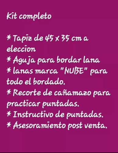Tapices Para Bordar Kit Aguja Lana