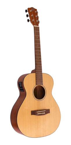 Guitarra Electroacústica Viajera Bamboo 38 Oferta!!