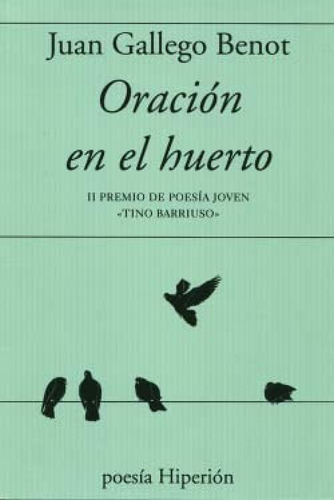 Oracion En El Huerto - Gallego Benot Juan