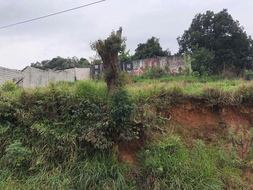 Imagem 10 de 16 de Terreno À Venda, 250 M² - Jardim Nossa Senhora Aparecida - Francisco Morato/sp - Te0034 - 67733520