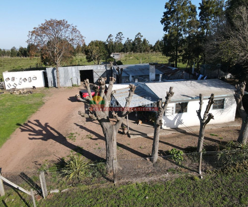 Imagen 5 de 21 de Chacra En Venta, 3 Has En Los Cerrillos, Casa Y Galones, Sobre Ruta!