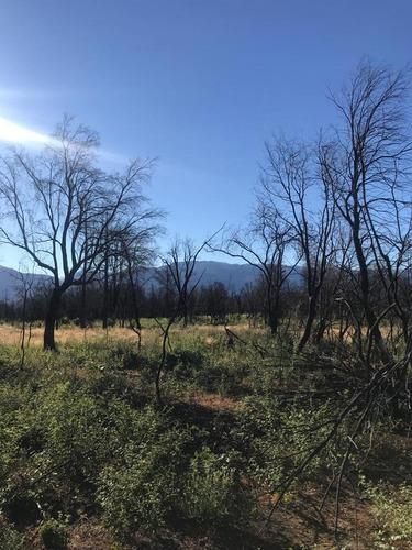 Imagen 3 de 10 de Terreno - Las Golondrinas