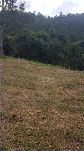 Imagem 24 de 25 de Chácara Sousas Condomínio Alto Padrão Reserva Da Floresta - Ch0040