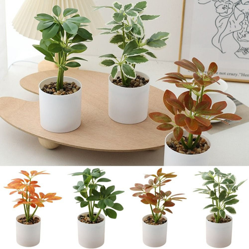 Plantas Artificiales En Maceta Schefflera Octophylla **077