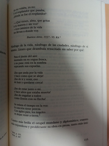 Alfonso Reyes: Caballero De La Voz Errante./ Adolfo Castañón (Usado)
