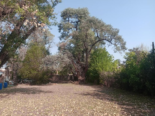 Imagen 2 de 9 de ¡encontrá La Quinta De Tus Sueños Cerca De La Ruta 8!