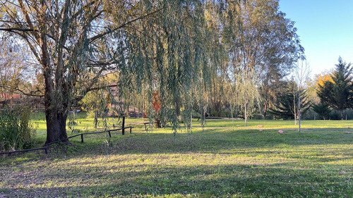 Complejo Turístico 14 Cabañas En Zona Termas San José