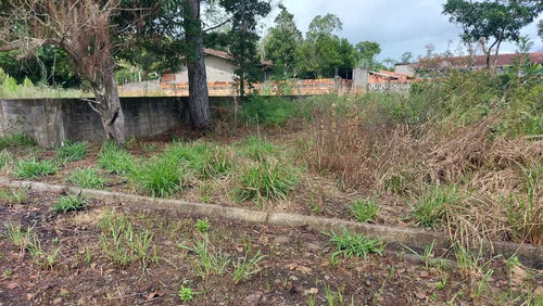 Lotes 250m Na Praia! Em Peruíbe Entradas A Partir De R$6.900