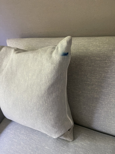 Sofá Cama Rosen 2 Cuerpos + Puff Para Los Pies (Usado)