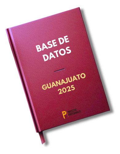 Base De Datos Empresariales Guanajuato 2025