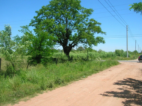 Imagen 5 de 8 de Alquiler Campo Centro Mariano Acosta, Muy Bueno
