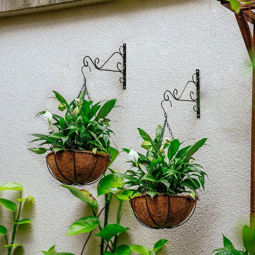 Porta Macetas Colgante Fibra De Coco Plantas - Sheshu Home