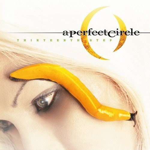 Perfect Circle Thirteenth Step Holland Import Lp Vinilo X 2