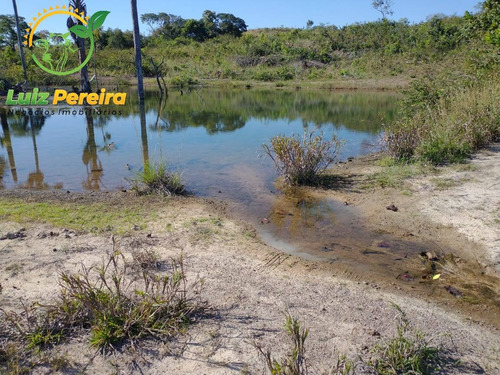 Imagem 2 de 15 de Fazenda À Venda Em Figueiropólis - To - 1118 Hectares (dupla Aptidão) - 1946