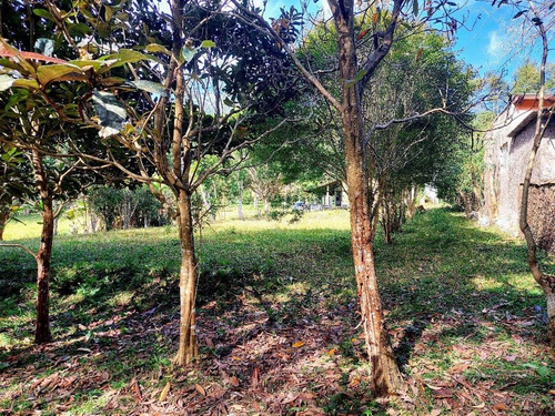 Imagem 17 de 20 de Chácara Em São Lourenço Com Lago Riacho 20.000 M² Ótimo Acesso