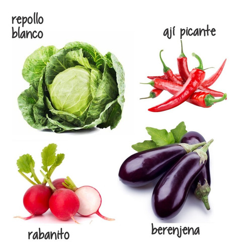 Super Combo Semillas! Huerta Primavera - Verano!