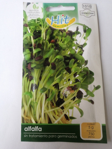 1 Sobre De Semilla De Alfalfa Sin Tratamiento Para Germinar