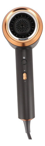 Secador De Pelo Iónico Ion Blow Professional Portable