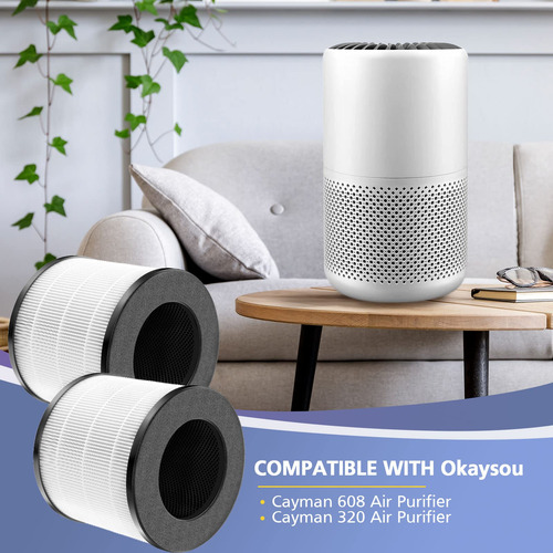 Filtro De Repuesto Ecleanfy Cayman 608/320 Para Okaysou Air