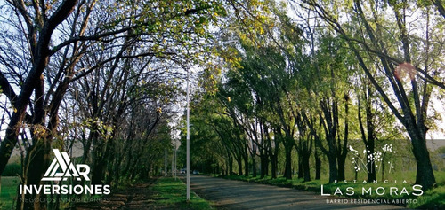 Venta - Terreno En Ricardone - 300 M2