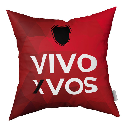 Imagen 2 de 3 de Combo Almohadones Almohadón Vivo X Vos Vellon Desmontable
