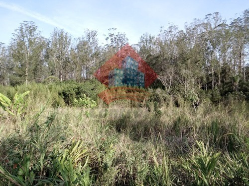 Imagem 8 de 8 de Terreno - Ref: 00430