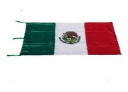 Bandera De Mexico Para Escritorio Pintado 17x25 Cm.