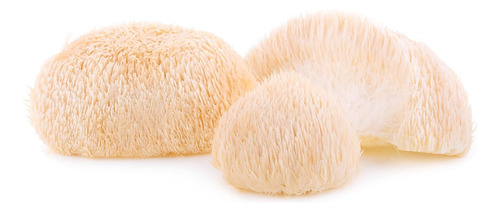 Hongo Melena De Leon Extracto (hericium Erinaceus) 120 Ml