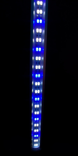 Lâmpada Aquário Led Super Branca E Super Blue Bivolt 65 Cm