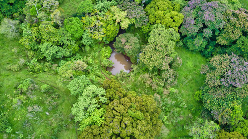 Terreno En Venta En Santiago Tuxtla Veracruz Mexico