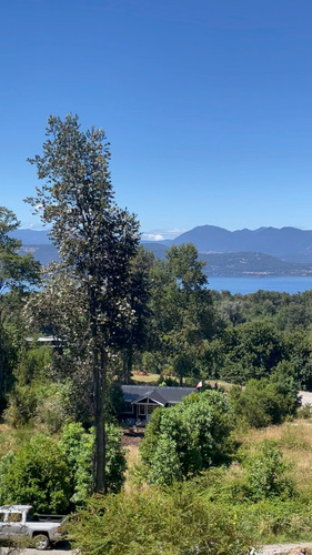 Parcelas Mirando El Calafquen,en Panguipulli Chile Desde 40m