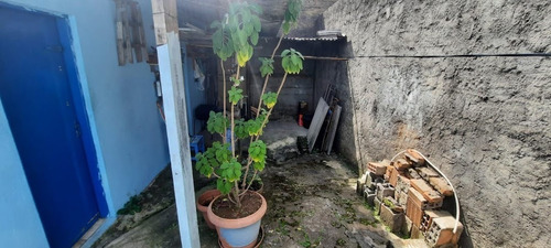 Imagem 28 de 29 de Casa Residencial À Venda, Nova Gerti, São Caetano Do Sul - . - Ca0085