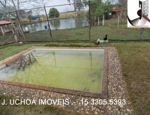 Imagem 20 de 30 de Maravilhosa Chácara A Venda Em Quadra/sp - 60.000m² - 459